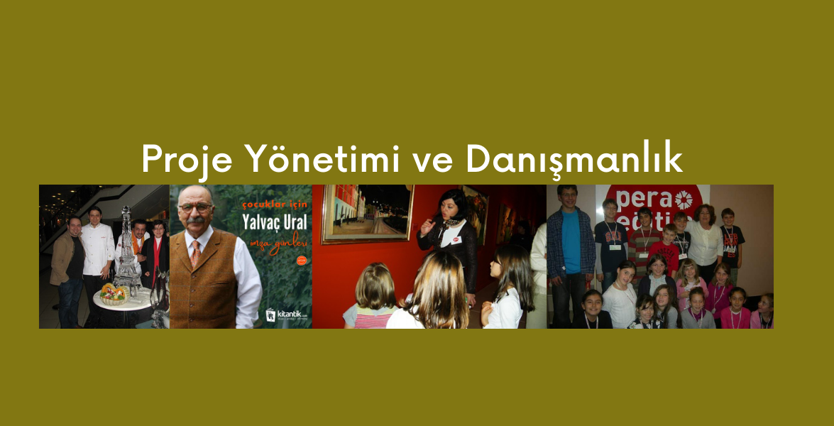 Proje Yönetimi ve Danışmanlık 